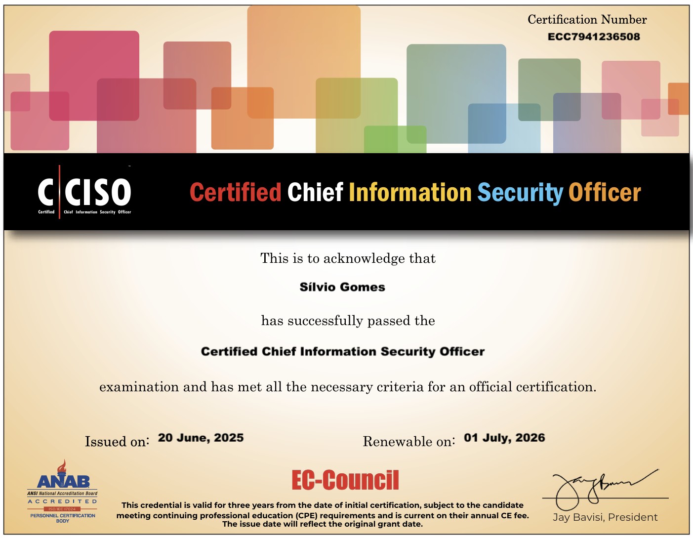 ISO9001 Lead Implementer