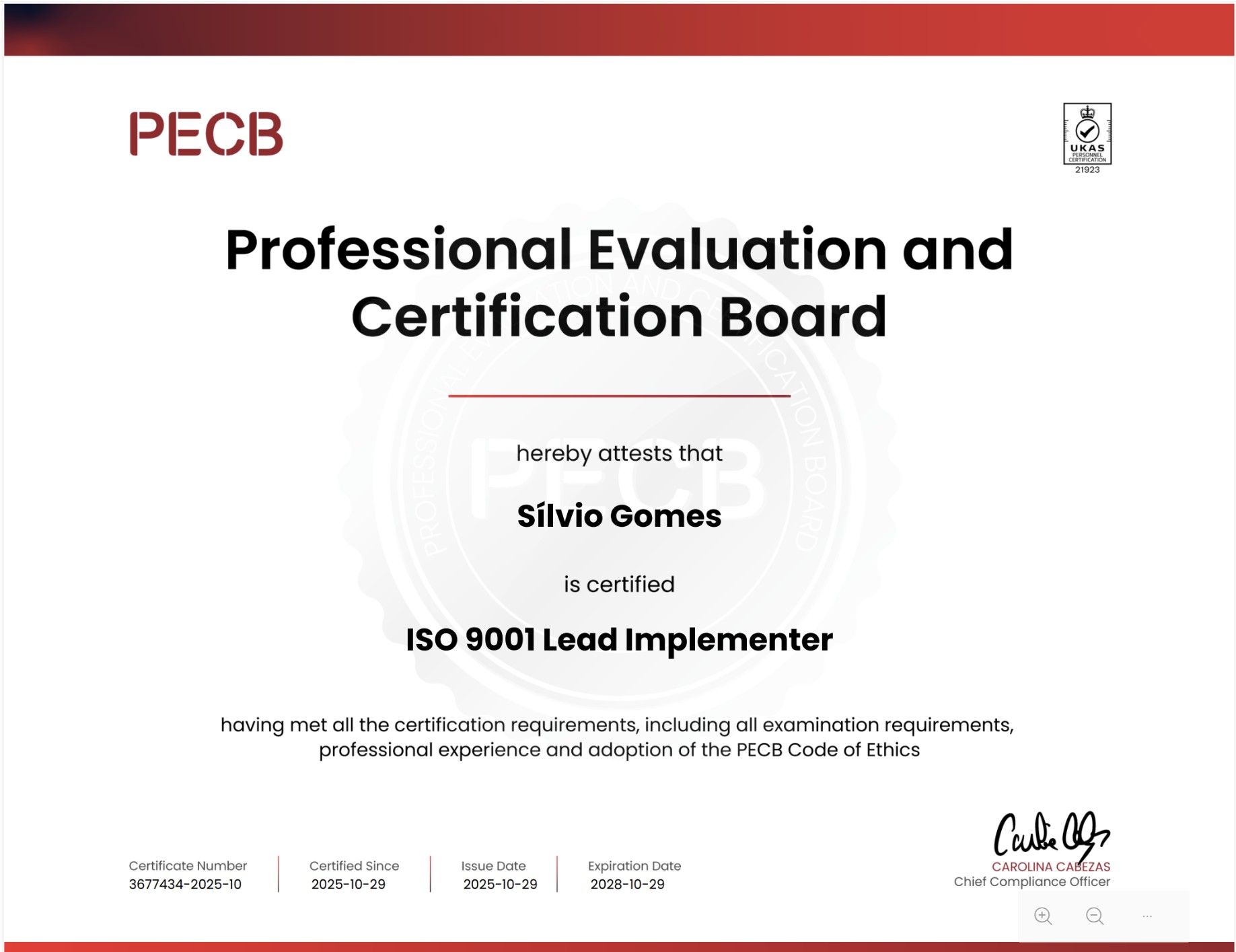 ISO 9001 Leader Implementer